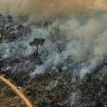Um triste retrato da Amazônia no seu dia