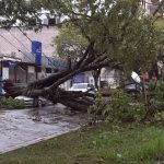Vento superou 100 km/h nos três estados do Sul do Brasil