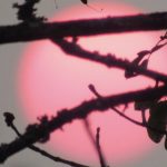 A imagem que explica o Rio Grande do Sul ter ficado coberto de fumaça