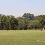 Previsão do tempo – Secura e calorão dominam o Brasil