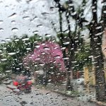 Quando a umidade dará trégua com vários dias de sol?