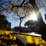 Previsão do tempo – Maior parte do Brasil segue seco