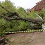Vento fez estragos na Grande Porto Alegre