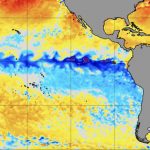 OFICIAL: LA NIÑA DE VOLTA