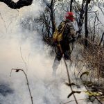 Pantanal sob chamas pode ter chuva nos próximos dias