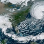 Juntinhos – Beta and Teddy together