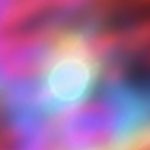 Uma rosa no universo