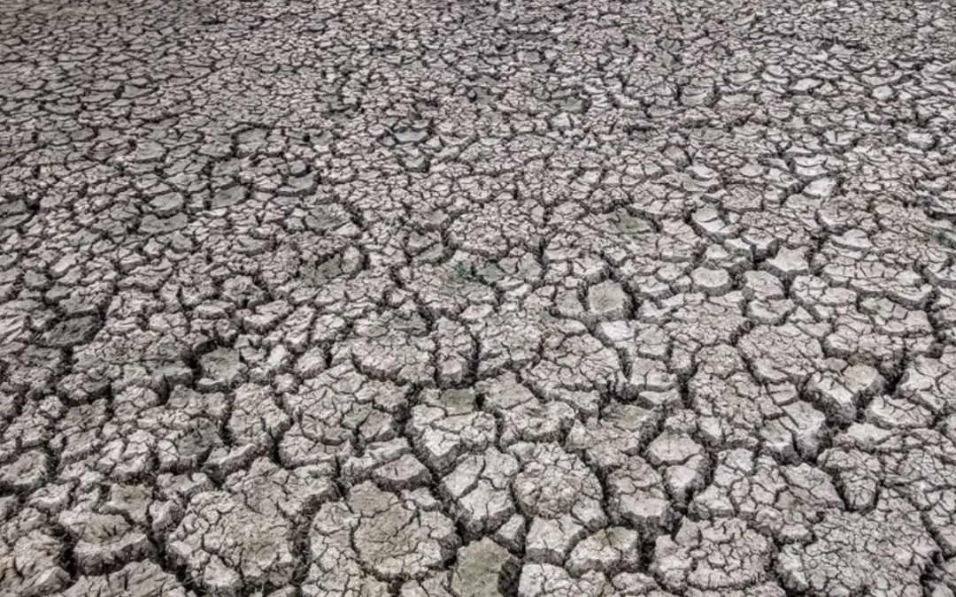**ALERTA DE CLIMA** Mais uma safra com estiagem – veja as projeções
