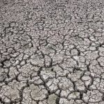 **ALERTA DE CLIMA** Mais uma safra com estiagem – veja as projeções