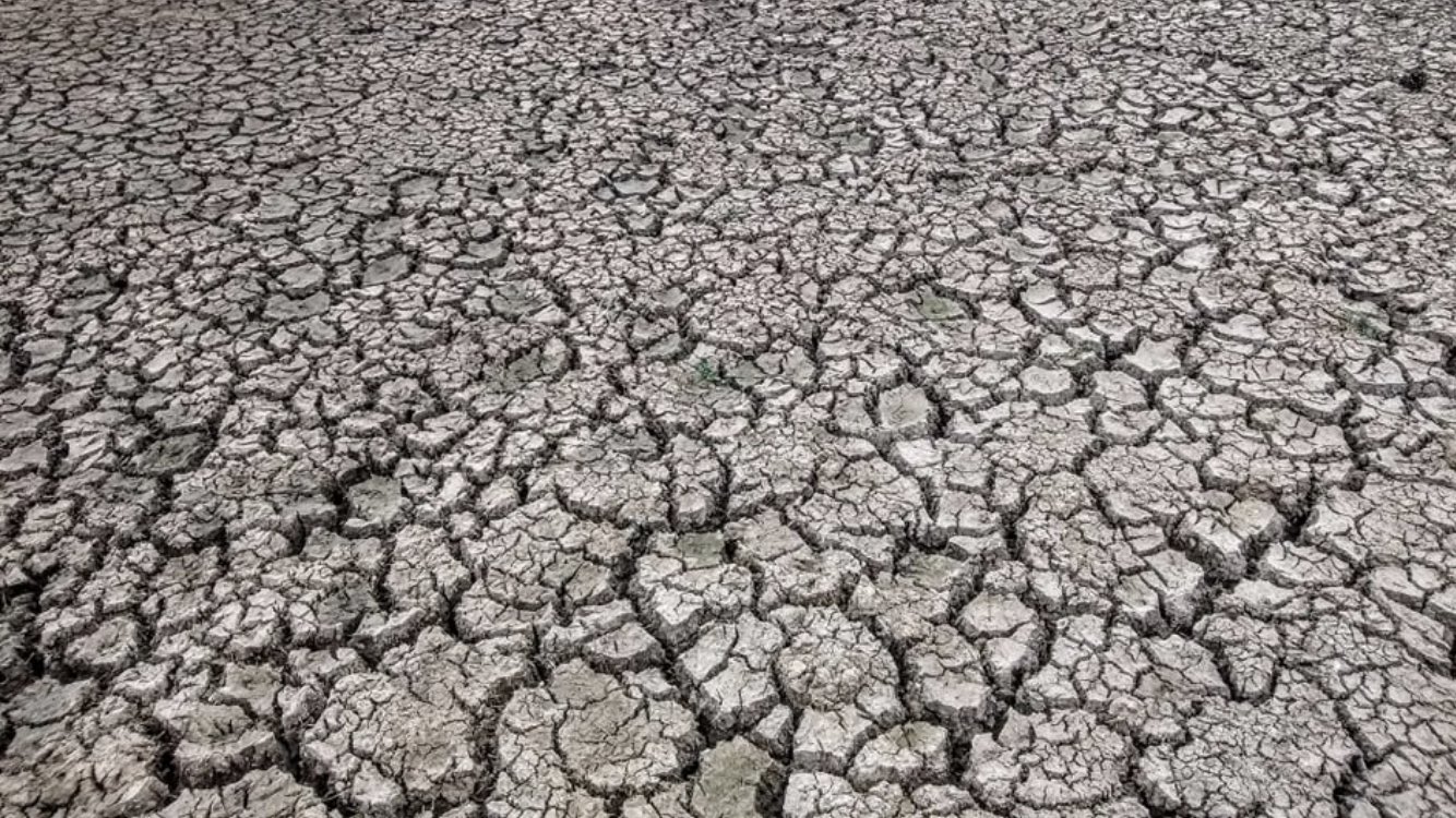 **ALERTA DE CLIMA** Mais uma safra com estiagem – veja as projeções