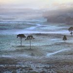 Frio e geada no Sul do Brasil