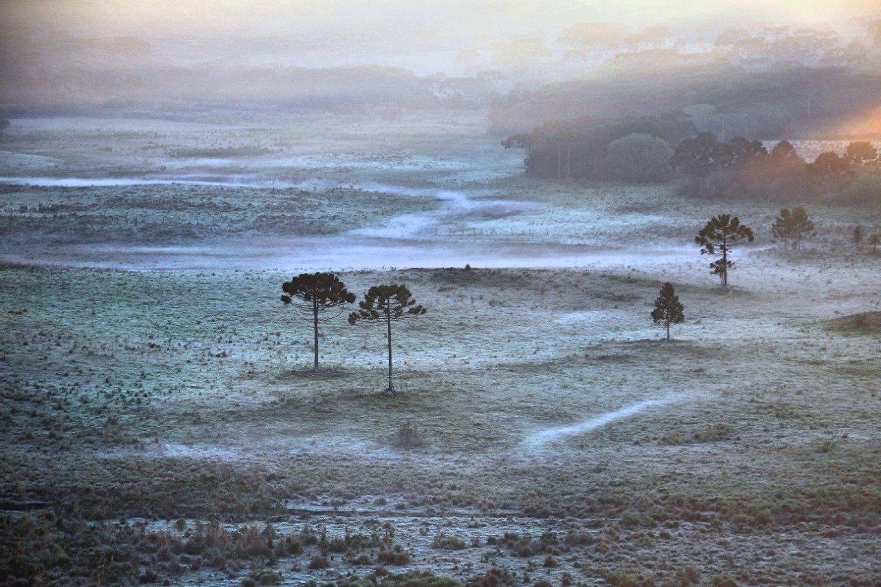 Frio e geada no Sul do Brasil