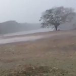 Chuva no Pantanal traz alívio e alegria
