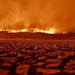 Calor é a tragédia dentro da tragédia no Pantanal