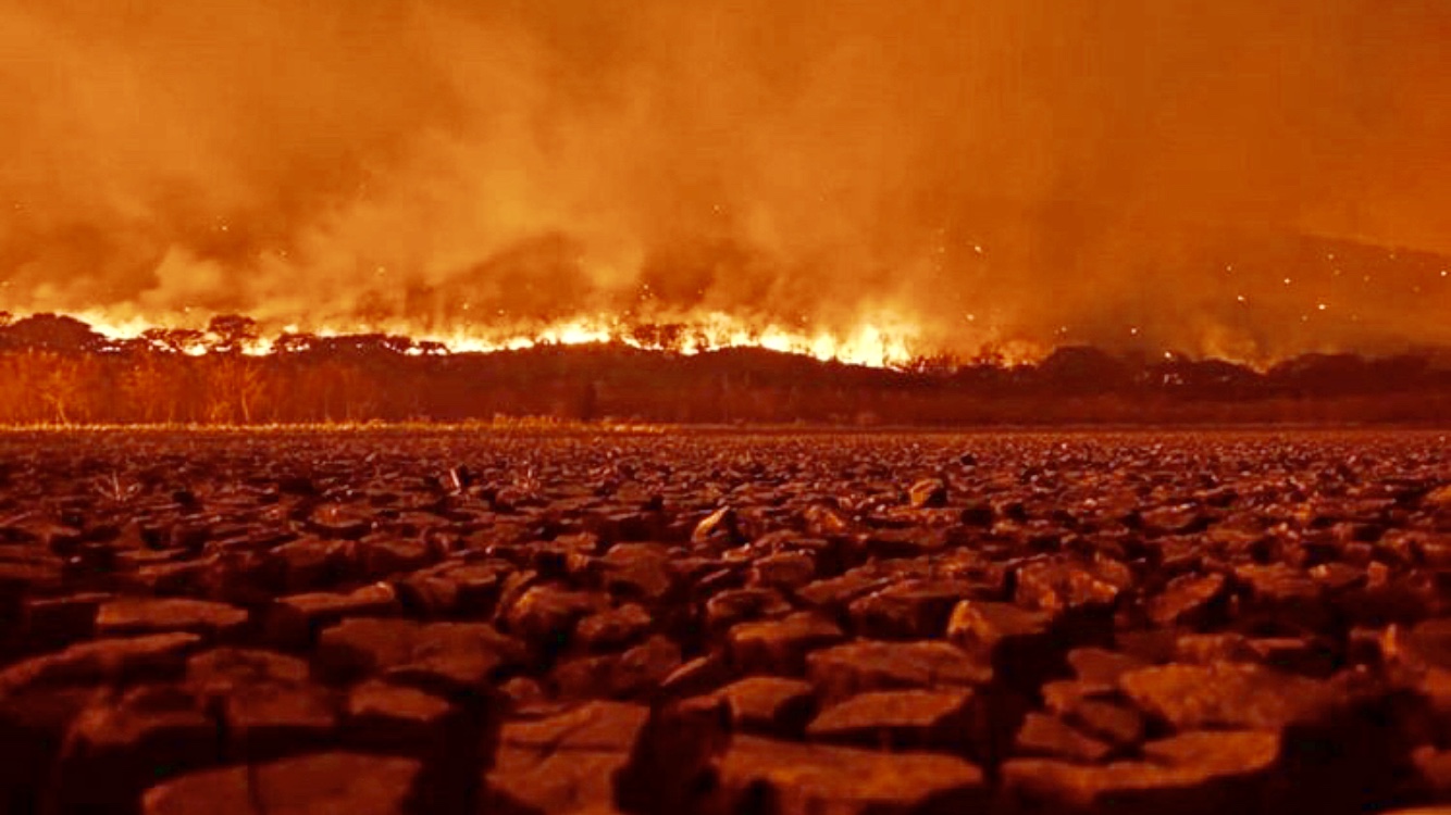 Calor é a tragédia dentro da tragédia no Pantanal