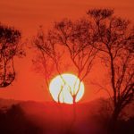 Semana começa com muito calor no Rio Grande do Sul