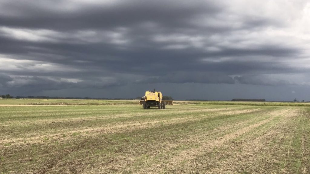O que esperar do clima no mês de novembro