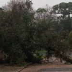 **ALERTA** Vento forte no Rio Grande do Sul