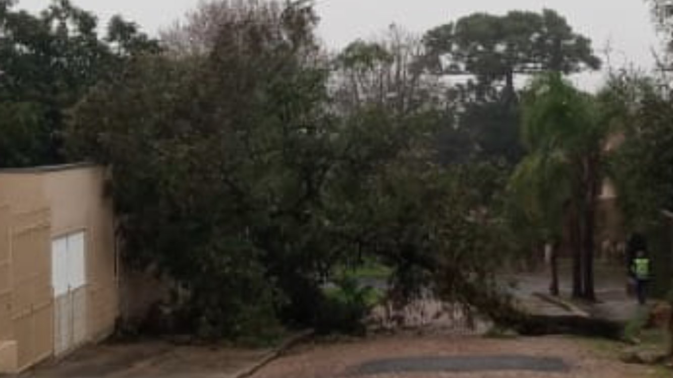 **ALERTA** Vento forte no Rio Grande do Sul
