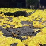 Veja a tendência do tempo para esta semana