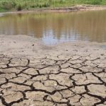 Plantio da safra tem maior atraso em uma década – O que esperar?