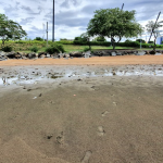 Nível do Guaíba segue baixo em Porto Alegre