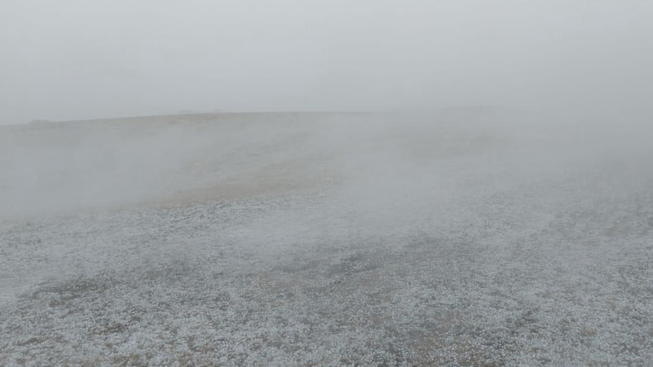 <span class="entry-title-primary">Granizo deixa paisagem branca nos Aparados da Serra</span> <h2 class="entry-subtitle">Granizo caiu em grande quantidade hoje em pontos dos Campos de Cima da Serra </h2>