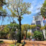 Previsão do tempo – Calor em Porto Alegre no fim de semana