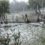 Granizo atinge lavouras no Centro gaúcho