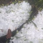 Granizo acumula e destrói plantações na Serra Gaúcha