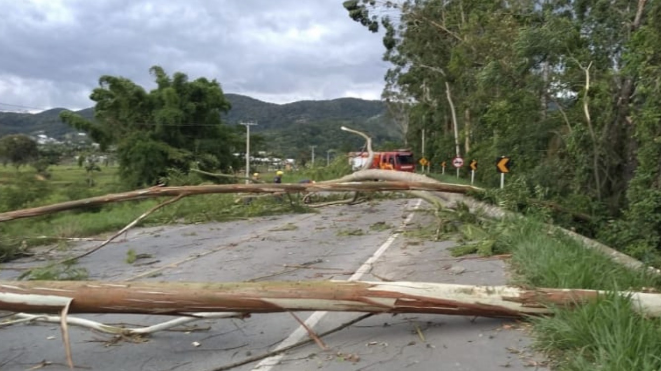 <span class="entry-title-primary">Temporais trazem estragos em Santa Catarina</span> <h2 class="entry-subtitle">Vendavais e granizo atingiram municípios catarinenses com danos no campo e em cidades </h2>