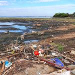 Estiagem revela tragédia ambiental em Porto Alegre