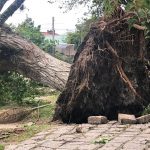 Milhares ainda sem luz após temporais da segunda