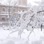 Madrid colapsa e vive emergência com a nevasca do século