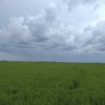 Clima – O que fevereiro reserva?