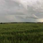 Chuva supera média do mês no Extremo Sul