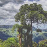 Friozinho segue à noite