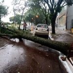 Temporais e estragos