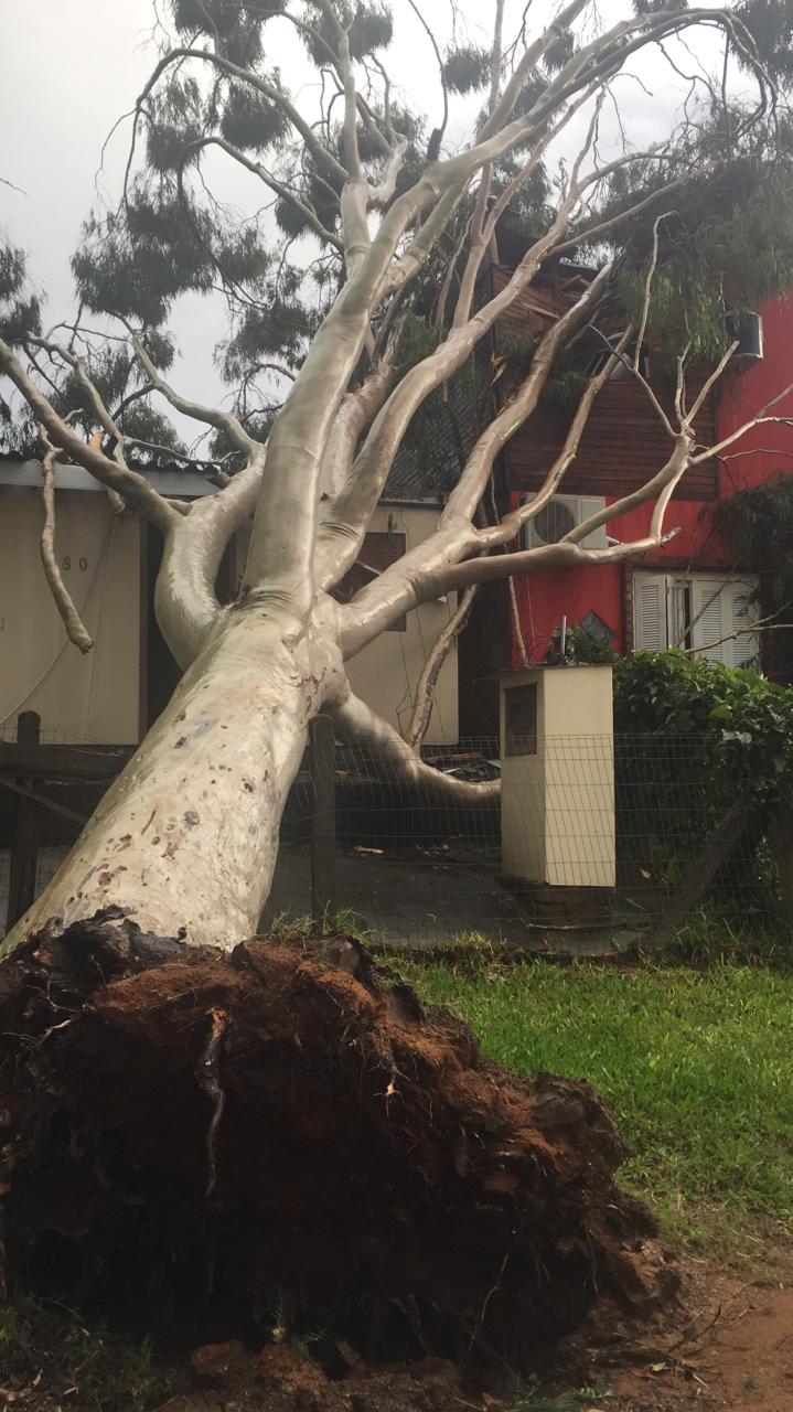 Downburst também atingiu Viamão Vendaval da tarde da terça fez estragos no município