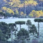 Frio e geada no Sul do Brasil