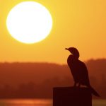 Veja a previsão do tempo para este domingo