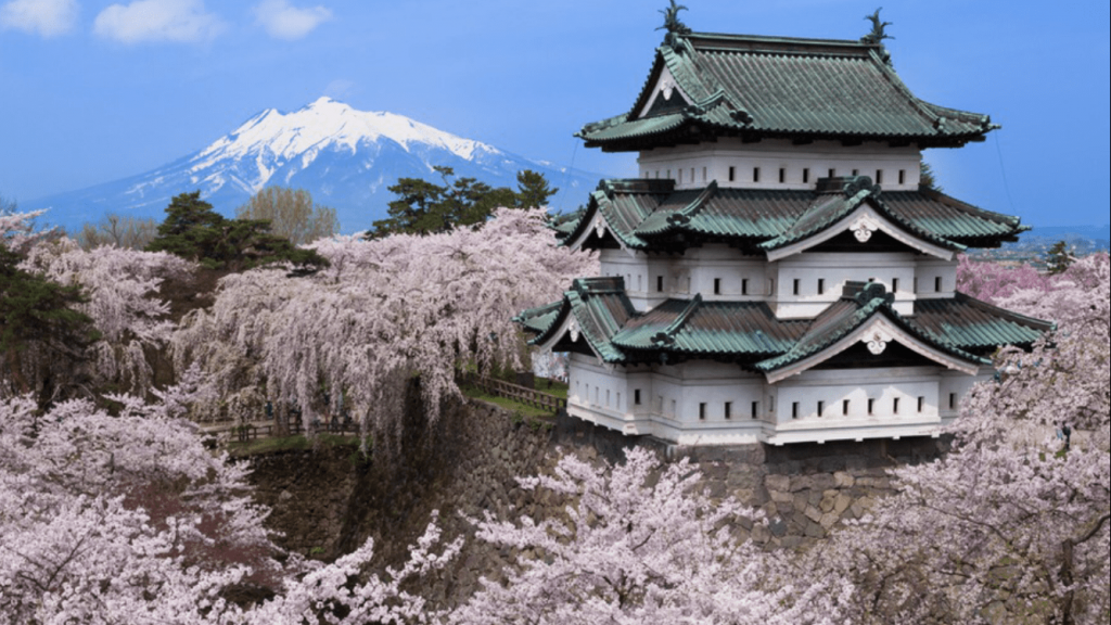 O que as cerejeiras do Japão revelam sobre o aquecimento global