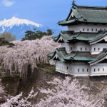 O que as cerejeiras do Japão revelam sobre o aquecimento global