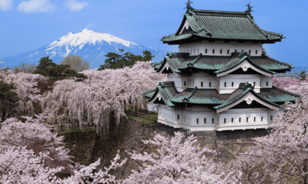 O que as cerejeiras do Japão revelam sobre o aquecimento global