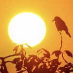 Veja a previsão do tempo para a semana