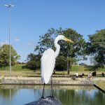 Veja a previsão do tempo para esta segunda-feira