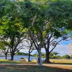 Afinal, quando chove em Porto Alegre?