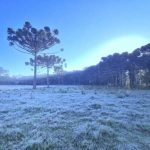 Geada e frio abaixo de zero em Santa Catarina