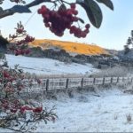 Inverno entrega cartão de visitas na primeira semana de frio do ano