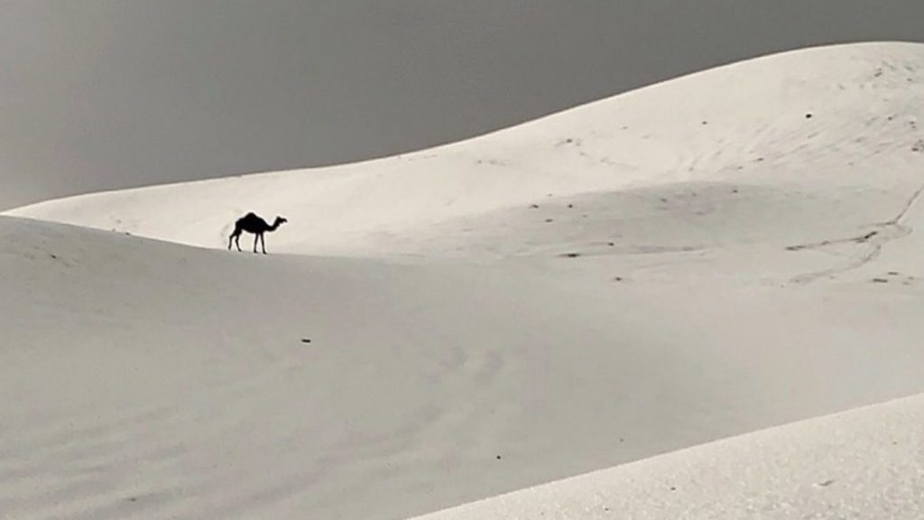 Arábia Saudita tem imagens insólitas com tempestade de granizo